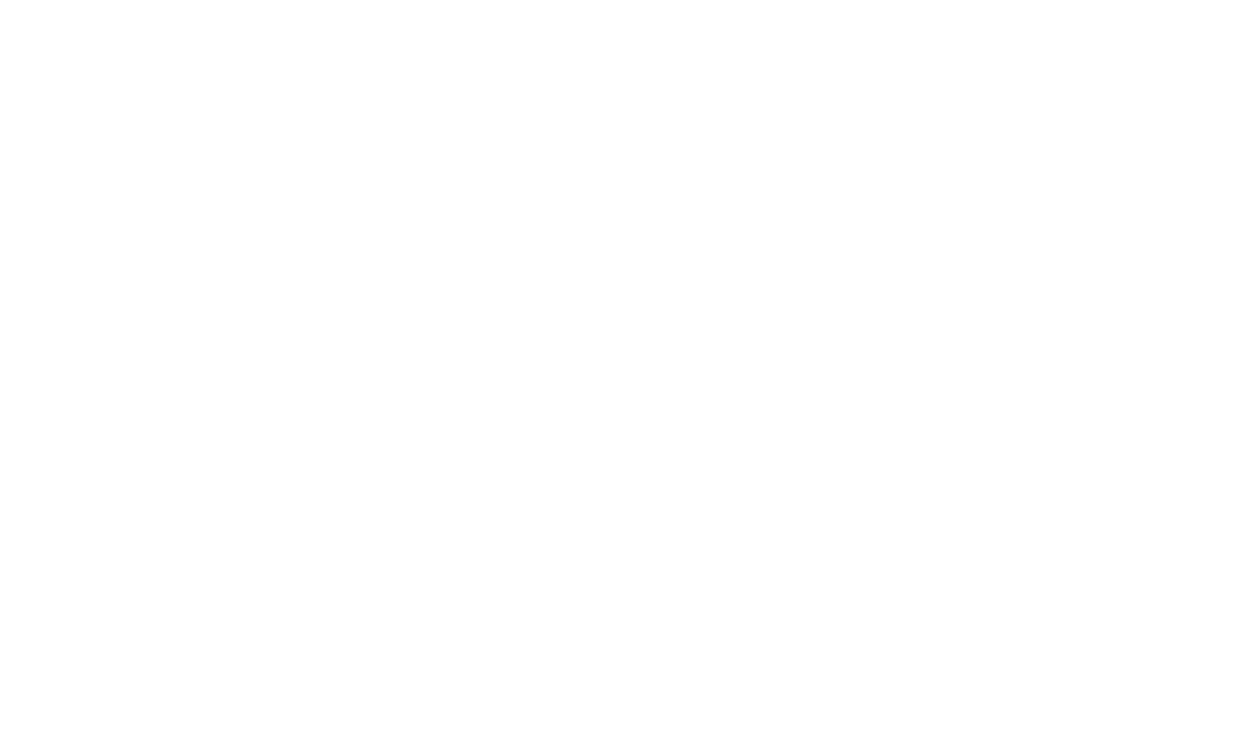 electric bear