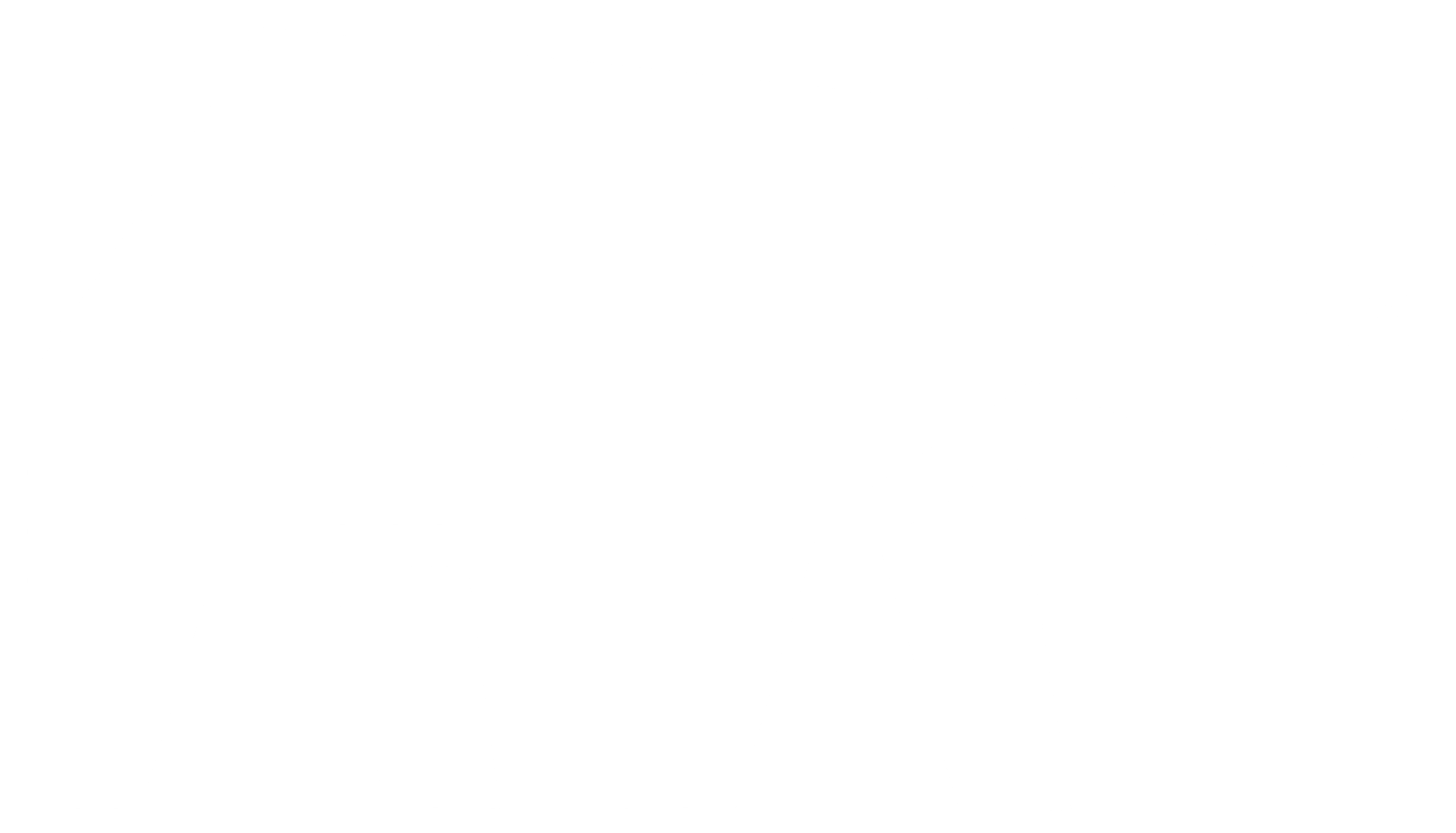 electric bear